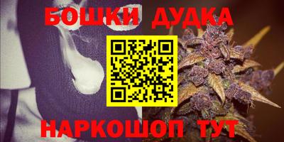 стаф Шелехов