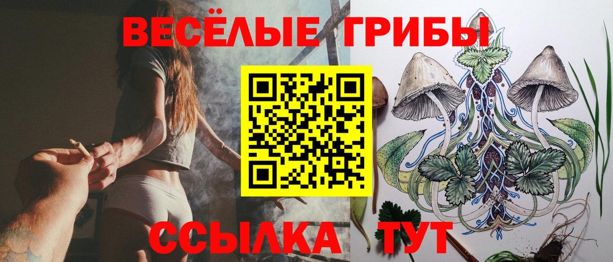 Псилоцибиновые грибы Cubensis  Севастополь  Галлюциногенные грибы Magic Shrooms 