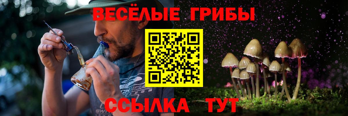 Севастополь  Псилоцибиновые грибы MAGIC MUSHROOMS  Вход с VPN 