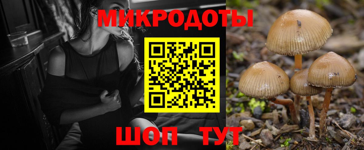 Псилоцибиновые грибы Cubensis Севастополь